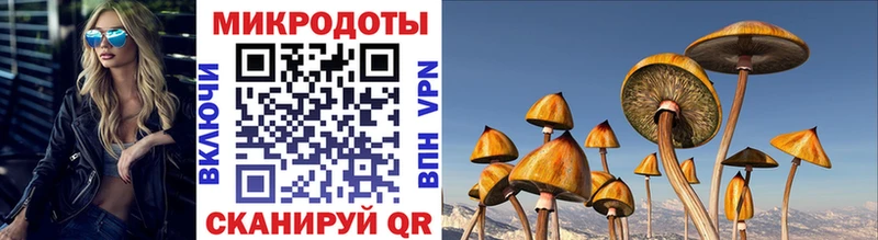 Галлюциногенные грибы Psilocybe  Евпатория 