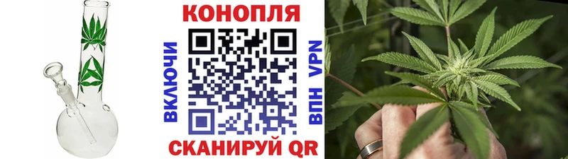 где купить наркоту  Евпатория  Шишки марихуана семена 